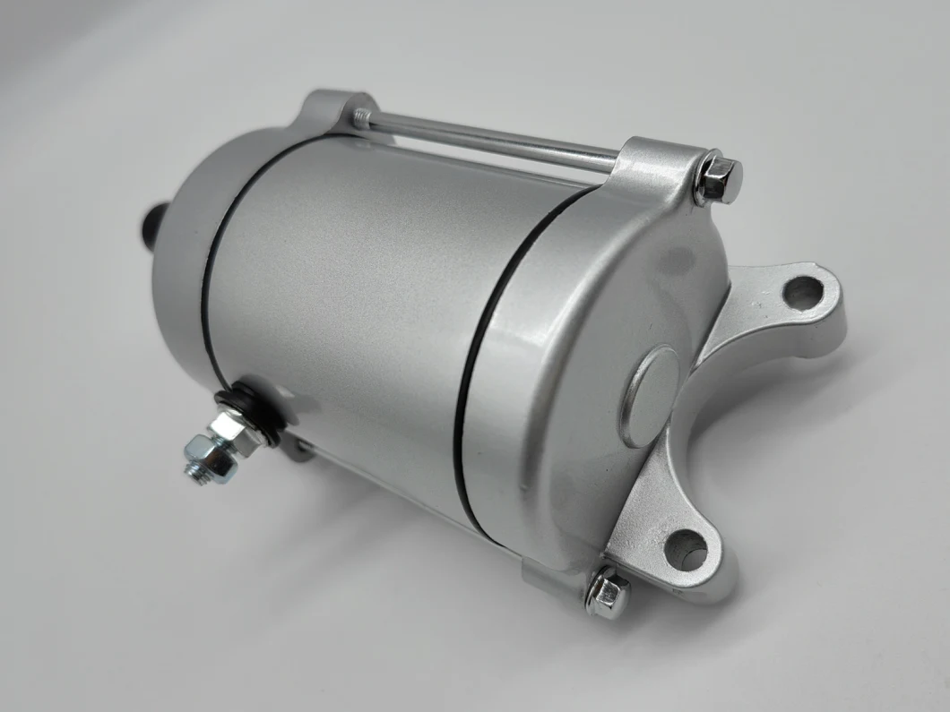 Motorcycle Starting Motor