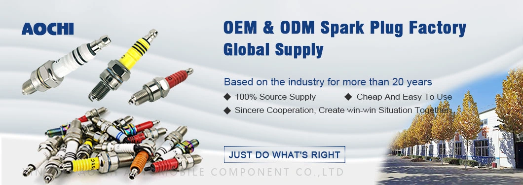 Cheap OEM&ODM Factory Motorcycle Spare Parts Spark Plug (D8TC)