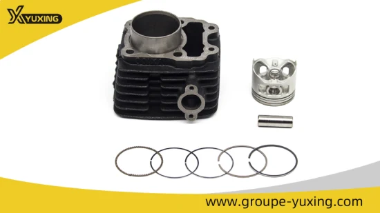 Motorrad-Ersatzteil-Zylinderblock-Kit für Bajaj100